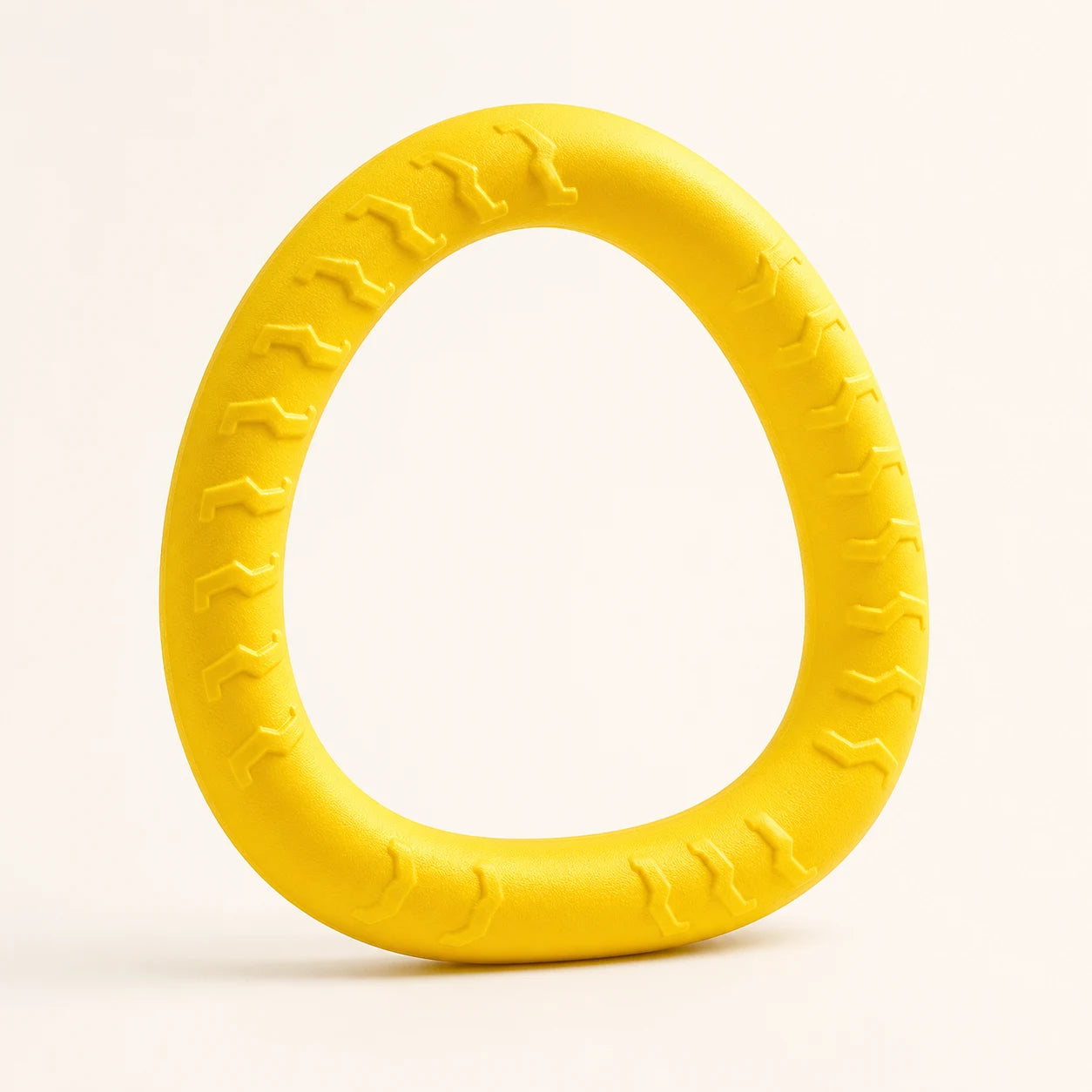 Dog outdoor toy
